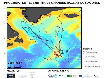 Telemetry Map